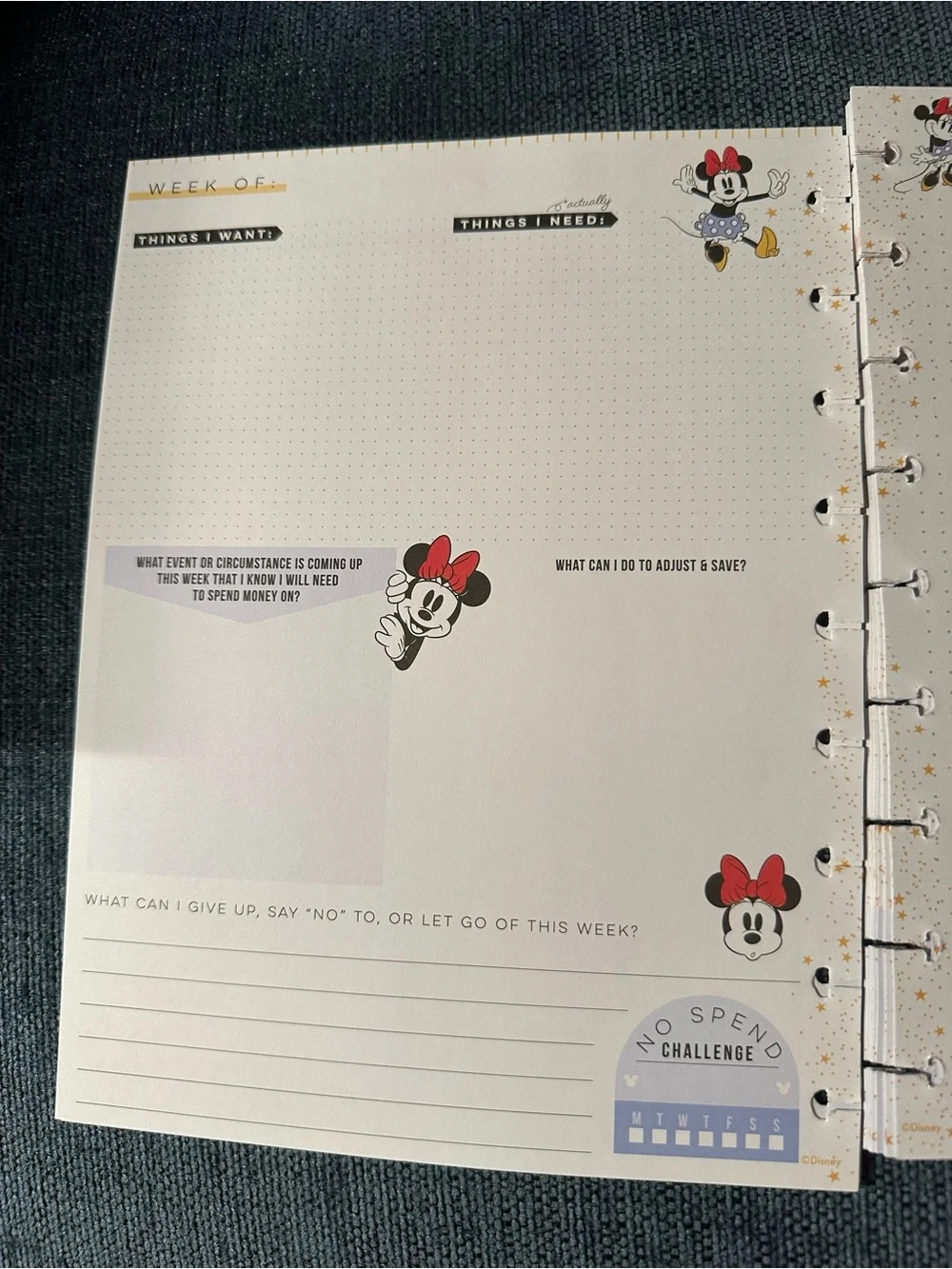 Disney Happy Planner happy planner